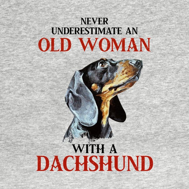 Never underestimate old woman with a pitbull tshirt woman funny gift by American Woman